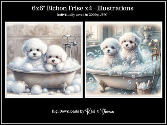 Bichon Frise Puppies X4 Illustrations